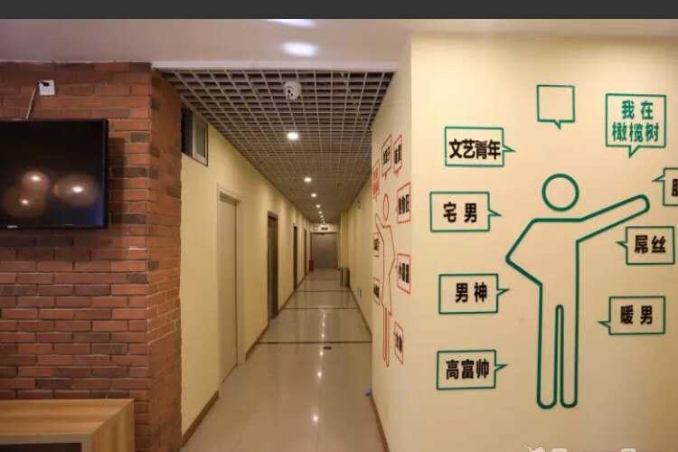 The Olive Tree Capsule Hostel Shenzhen Exterior foto